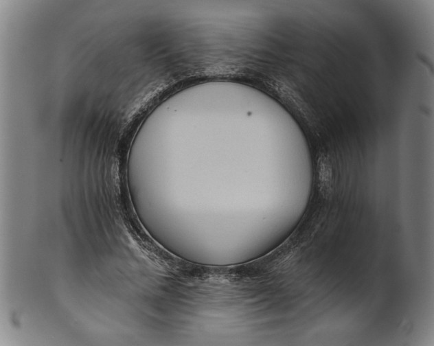 X0000101950684200808081506