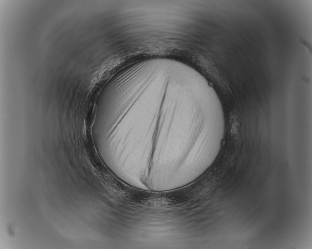 X0000101950685200808081506