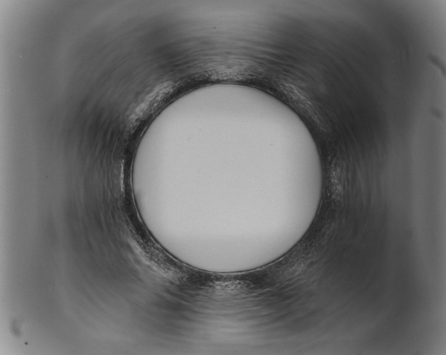 X0000101950686200808081506