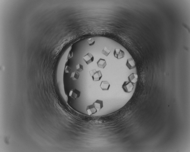 X0000101950687200808081506