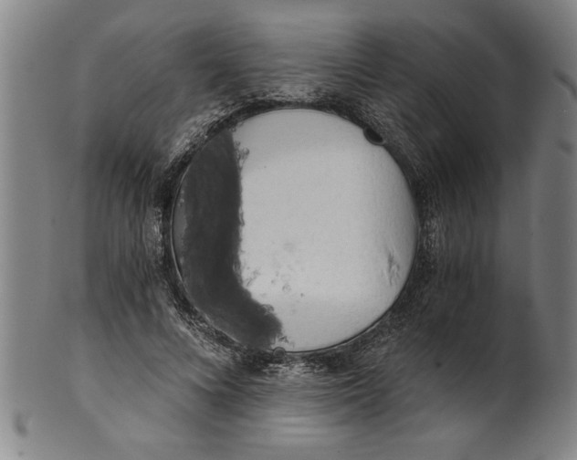 X0000101950688200808081506