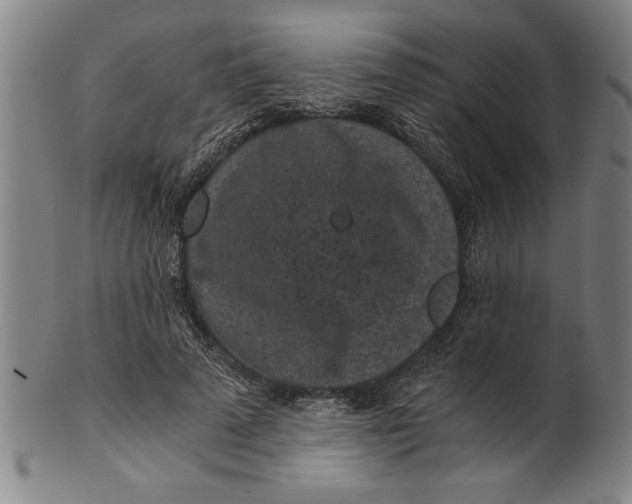 X0000101950689200808081506