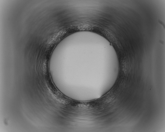 X0000101950690200808081506