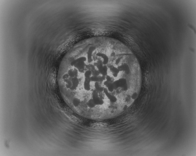X0000101950691200808081506