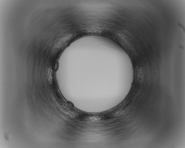 X0000101950692200808081506