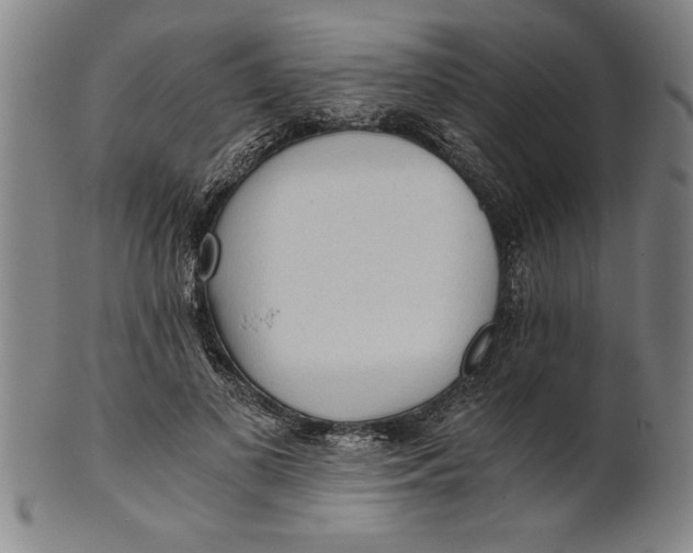 X0000101950693200808081506