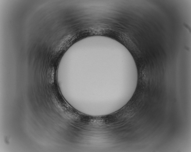 X0000101950694200808081506