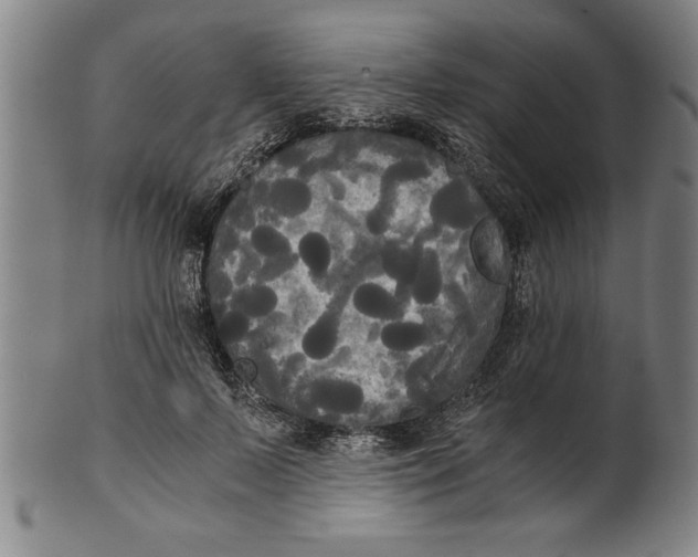 X0000101950695200808081506