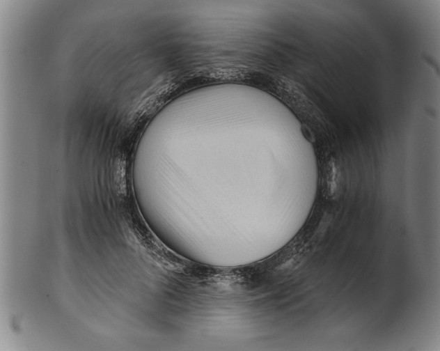 X0000101950696200808081506