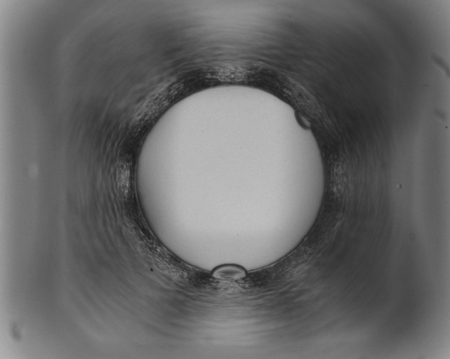 X0000101950697200808081506