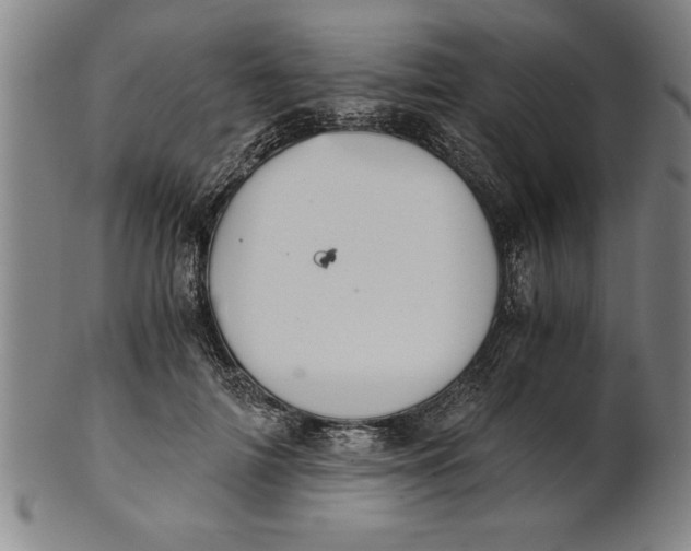 X0000101950698200808081506
