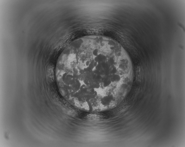 X0000101950699200808081506