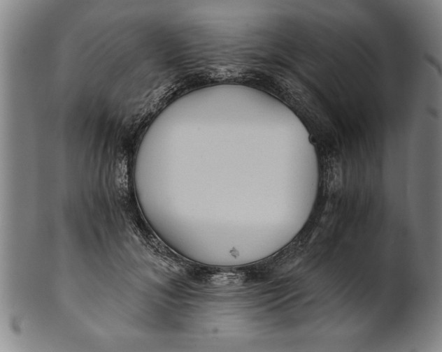 X0000101950700200808081506