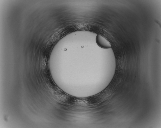 X0000101950702200808081506