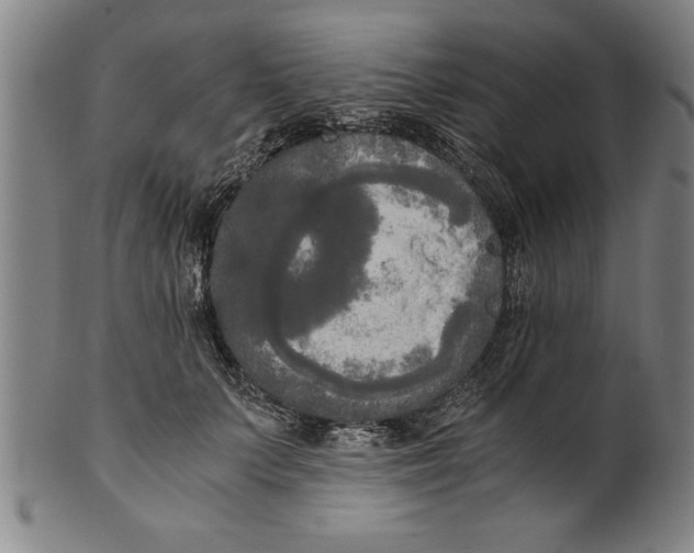 X0000101950703200808081506