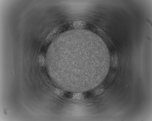 X0000101950705200808081506