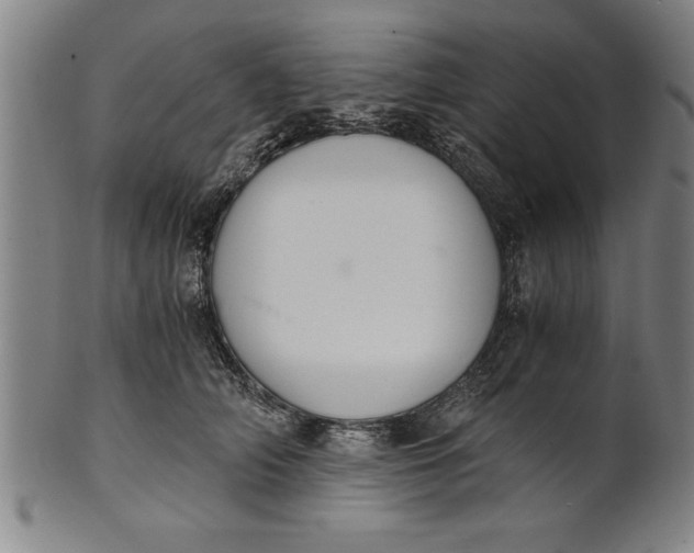 X0000101950706200808081506