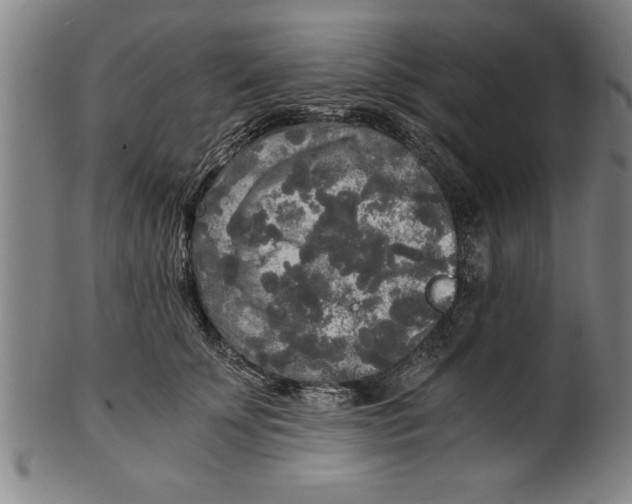 X0000101950707200808081506