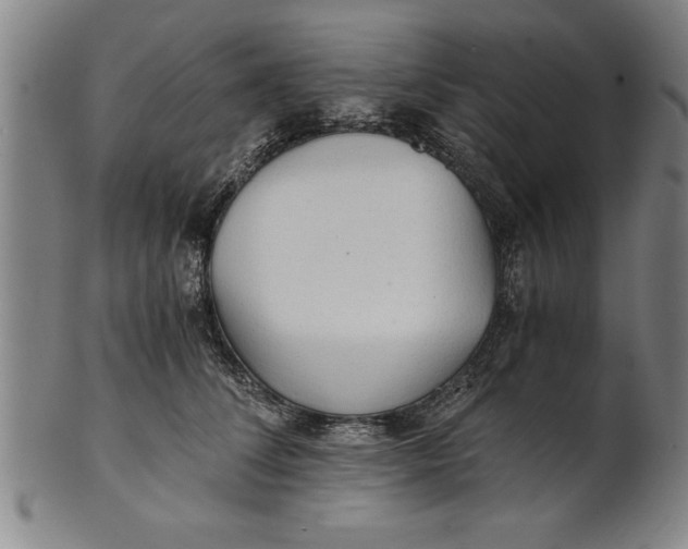 X0000101950708200808081506