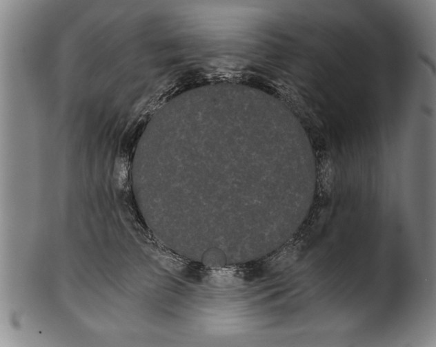 X0000101950709200808081506