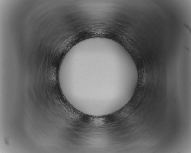 X0000101950710200808081505