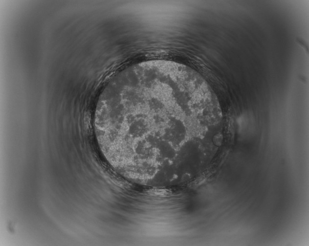X0000101950711200808081505