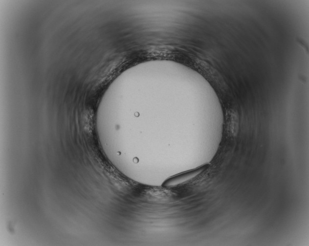 X0000101950712200808081505