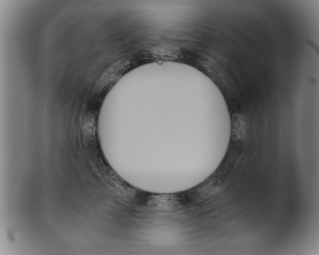 X0000101950713200808081505