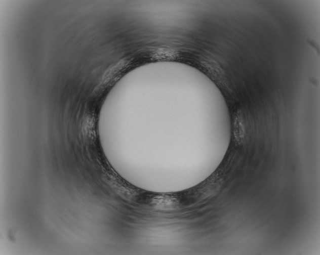 X0000101950714200808081505