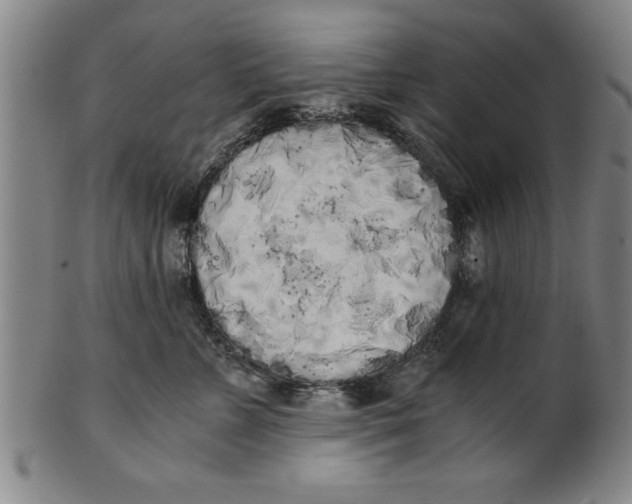 X0000101950715200808081505