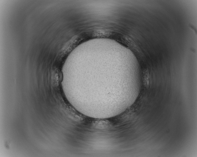 X0000101950716200808081505