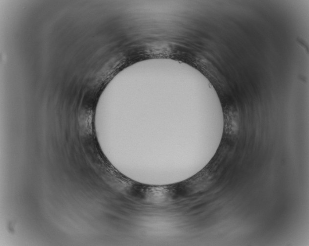 X0000101950717200808081505
