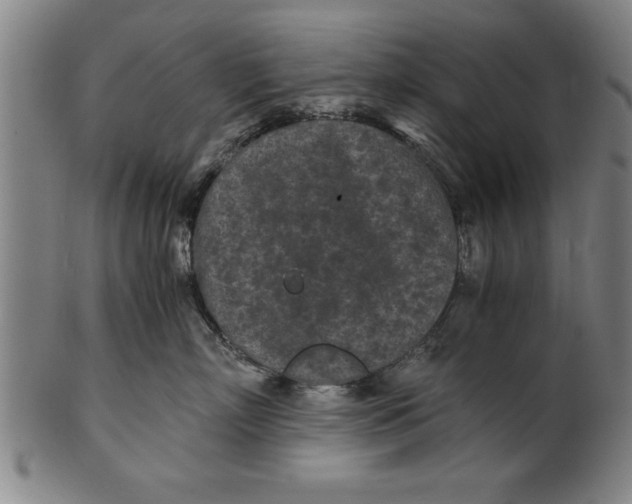 X0000101950718200808081505