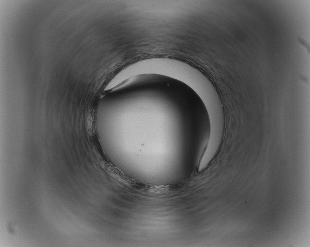 X0000101950720200808081505