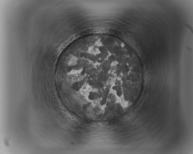 X0000101950721200808081505