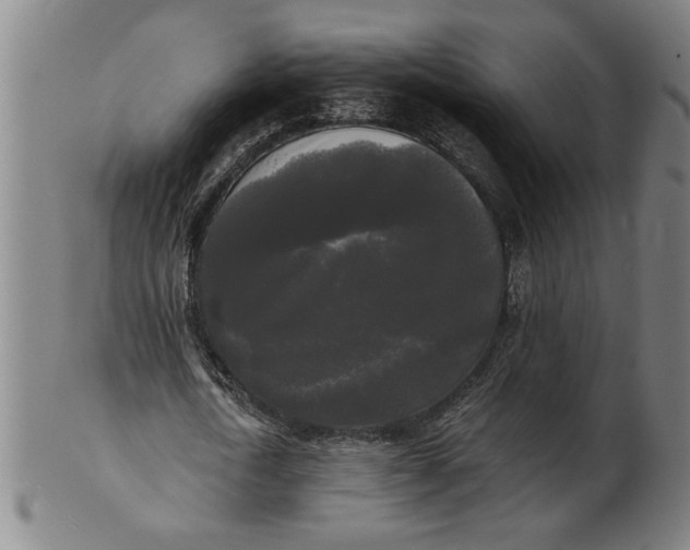 X0000101950722200808081505