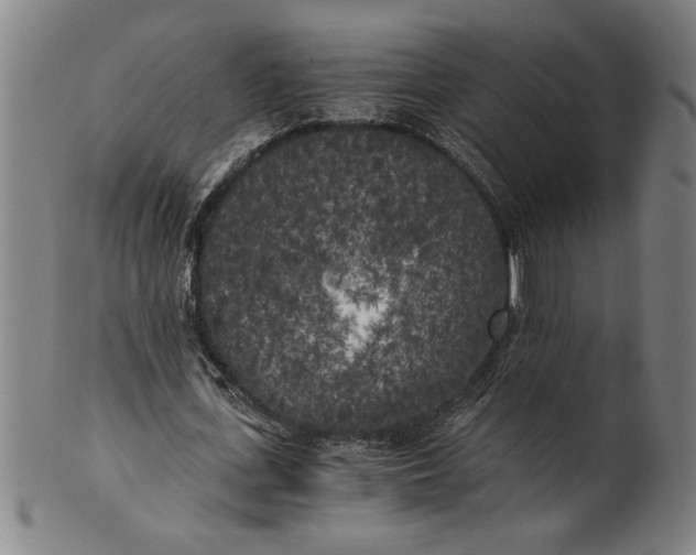 X0000101950723200808081505