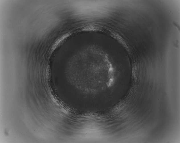 X0000101950724200808081505