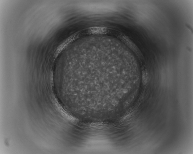 X0000101950725200808081505