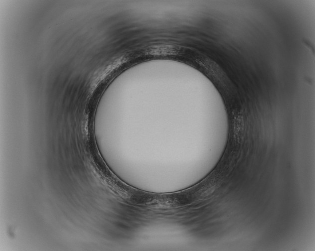 X0000101950727200808081505