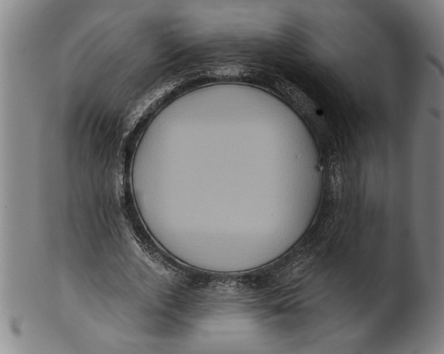 X0000101950728200808081505