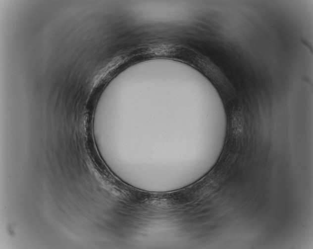 X0000101950730200808081505