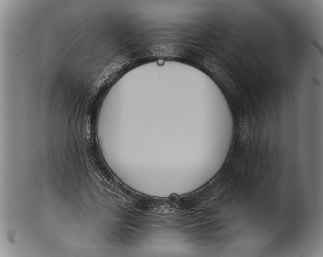 X0000101950731200808081505
