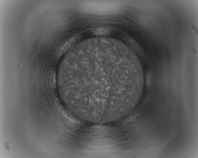 X0000101950733200808081505