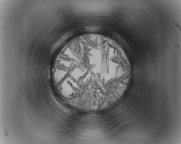 X0000101950734200808081505