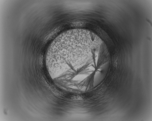 X0000101950735200808081505