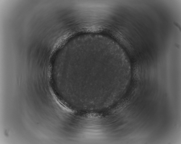 X0000101950736200808081505