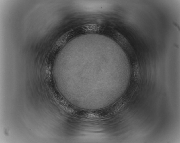 X0000101950737200808081505