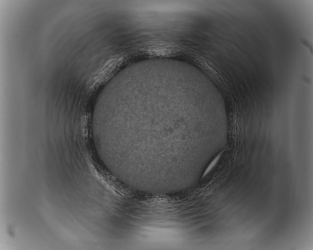 X0000101950738200808081505
