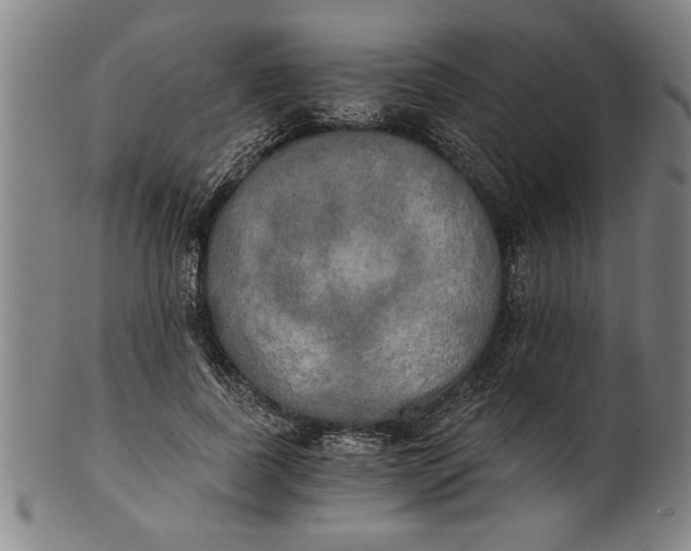 X0000101950739200808081505